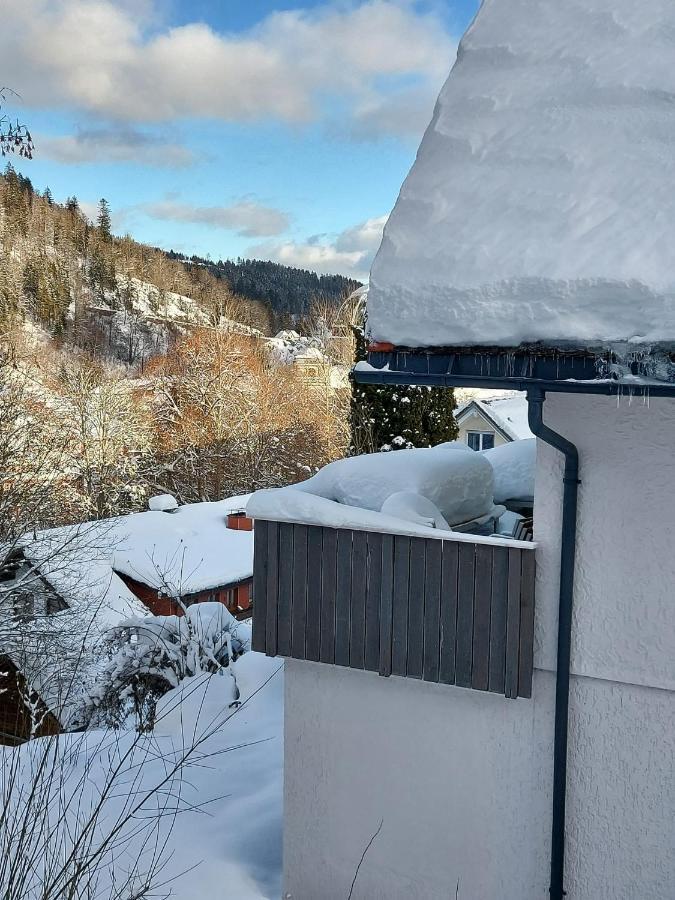 Ferienhaus Barbey سانت بلاسين المظهر الخارجي الصورة