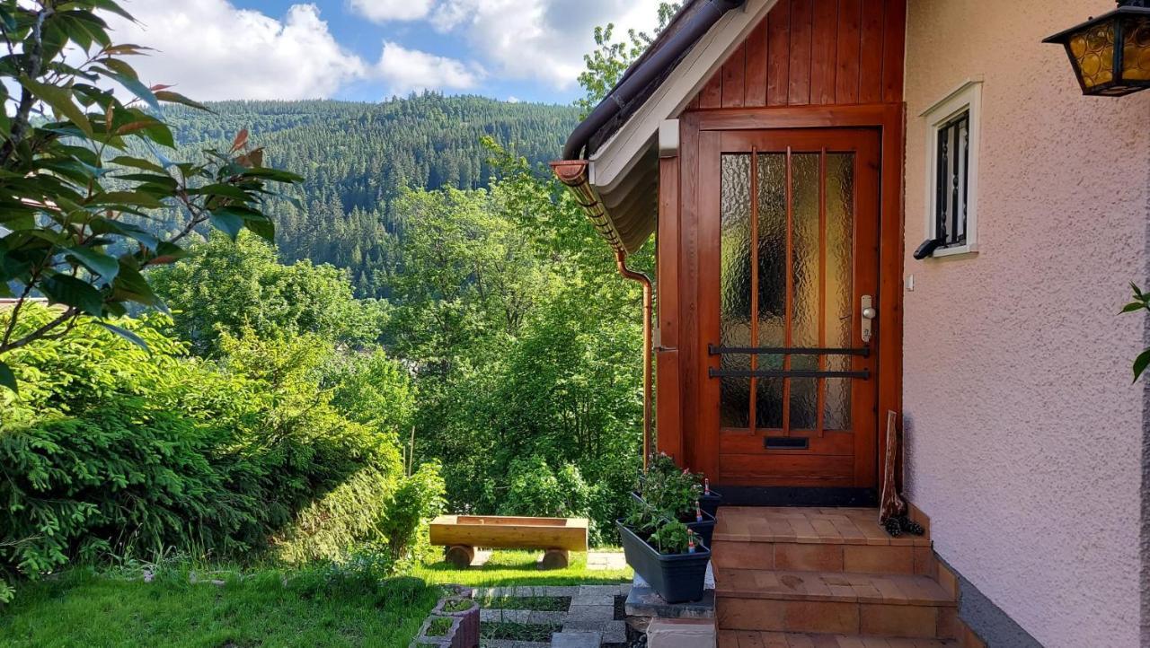 Ferienhaus Barbey سانت بلاسين المظهر الخارجي الصورة